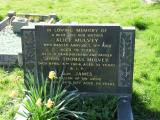 image of grave number 846126